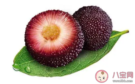 蚂蚁庄园:杨梅掉色是添加了人工色素吗 3月18日答案 蚂蚁庄园:杨梅掉色是添加了人工色素吗 3月18日答案