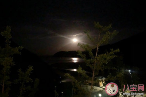 肖战的零散随记全文 肖战的零散随记写了些什么