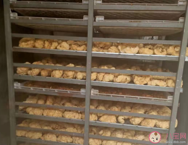 吃胎盘到底有没有用 吃胎盘可以抗衰老吗