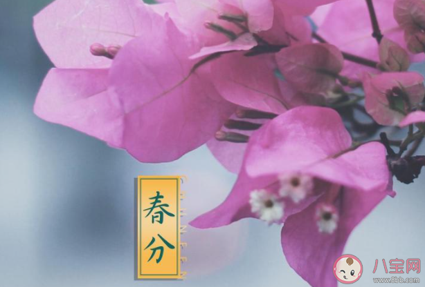 2021今日春分朋友圈创意文案句子 2021今天是春分节气个性说说