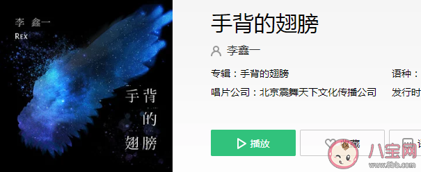 雨好大要退吗继续失望害怕吗是什么歌 《手背的翅膀》完整版歌词在线试听