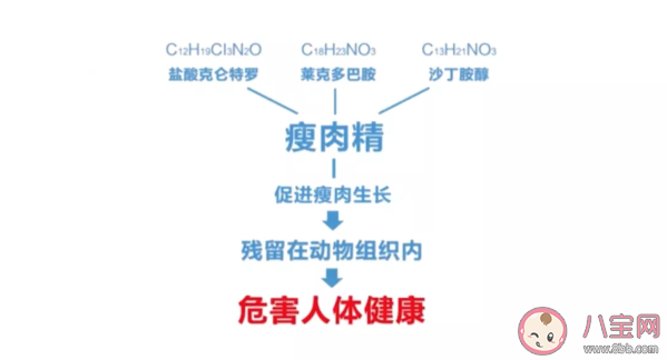 吃了瘦肉精的羊肉对身体有什么影响 怎么避免买到瘦肉精的肉