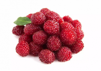 杨梅掉色是添加了人工色素吗 杨梅为什么会掉色