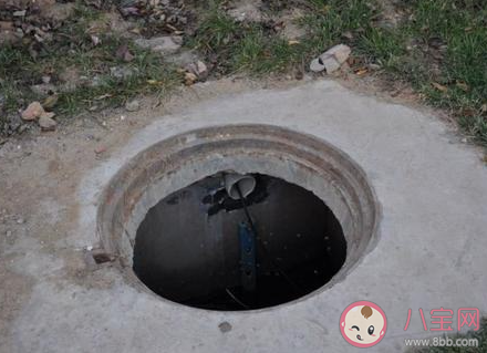 为什么最好不要往下水井扔鞭炮 蚂蚁庄园3月19日答案