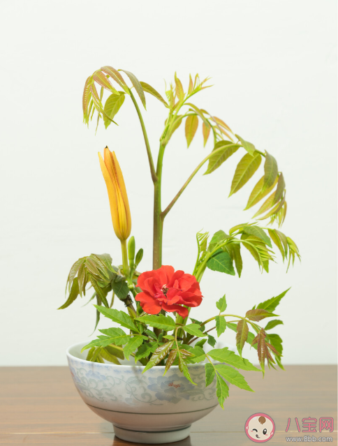 椿萱并茂是用来用来比喻什么的 蚂蚁庄园3月19日正确答案