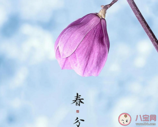2021春分节气经典古诗词大全 2021春分节气有意境的古诗赏析