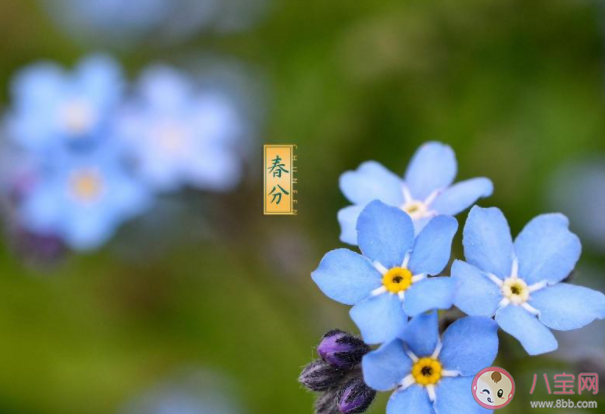 2021春分节气经典古诗词大全 2021春分节气有意境的古诗赏析
