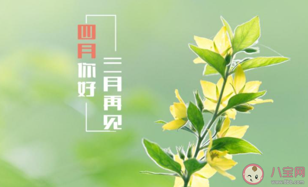 3月最后一天的心情句子配文 3月最后一天发朋友圈说说语录