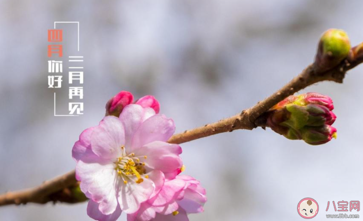 3月再见4月你好的正能量句子大全 告别3月迎接4月的励志说说语录