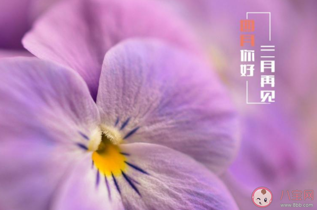 3月再见4月你好的正能量句子大全 告别3月迎接4月的励志说说语录