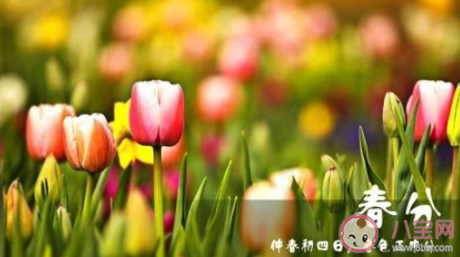 春季宝宝过敏起因有哪些 宝宝花粉过敏怎么办 春季宝宝过敏起因有哪些 宝宝花粉过敏怎么办