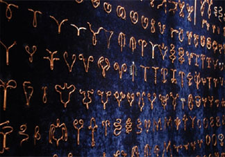 节育环给女性身体带来哪些伤害 节育环最多只能带几年