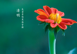 2021清明假期热门跨省旅游目的地top10 清明假期热门景区top10