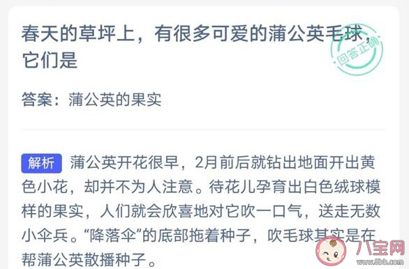 春天草坪上的蒲公英毛球是果实还是花 蚂蚁庄园3月19日答案 春天草坪上的蒲公英毛球是果实还是花 蚂蚁庄园3月19日答案