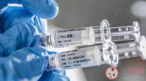 新冠疫苗选单针还是双针 哪个品种的新冠疫苗更好 新冠疫苗选单针还是双针 哪个品种的新冠疫苗更好