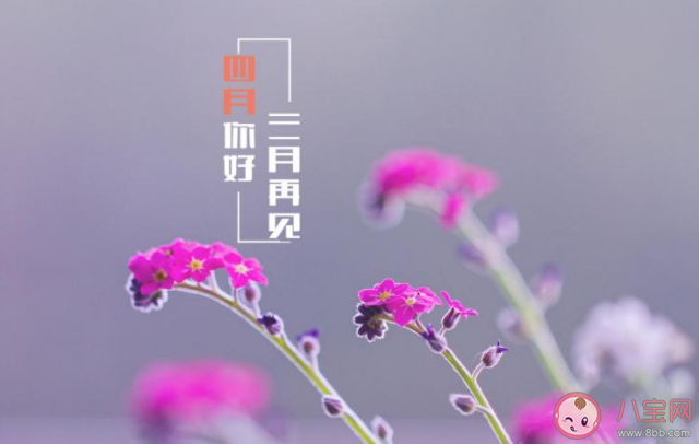 2021三月再见四月你好的带字图片说说 2021告别三月迎接四月唯美图片文案