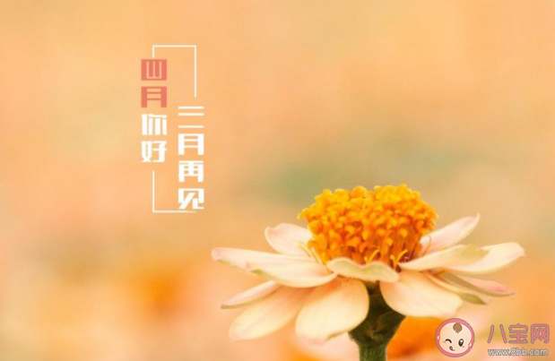 2021三月再见四月你好的带字图片说说 2021告别三月迎接四月唯美图片文案