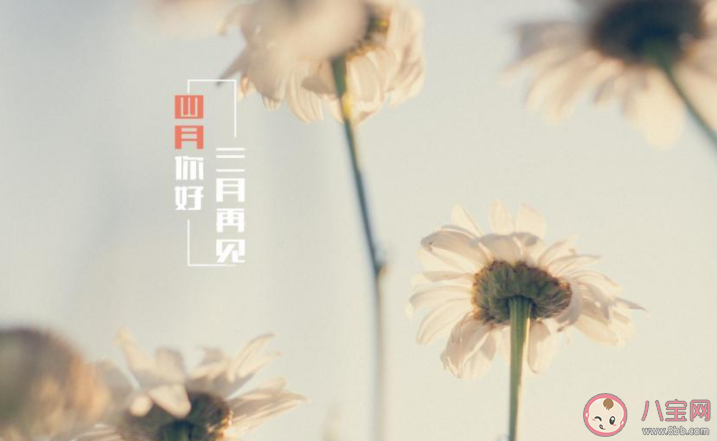 2021三月再见四月你好的带字图片说说 2021告别三月迎接四月唯美图片文案