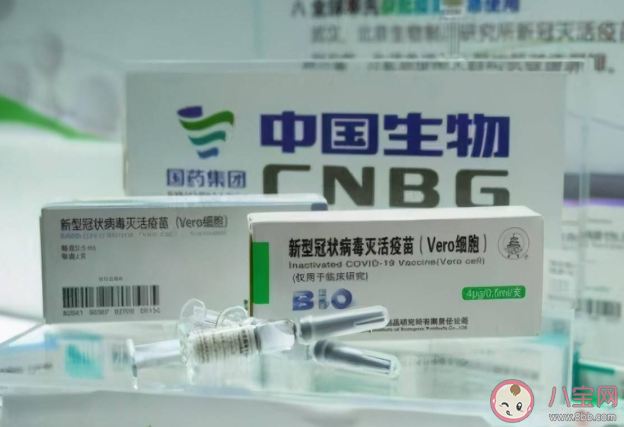 新冠疫苗单针和双针哪个更好 单针接种和两针接种新冠疫苗有什么区别 新冠疫苗单针和双针哪个更好 单针接种和两针接种新冠疫苗有什么区别