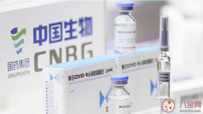 新冠疫苗单针和双针哪个更好 单针接种和两针接种新冠疫苗有什么区别 新冠疫苗单针和双针哪个更好 单针接种和两针接种新冠疫苗有什么区别