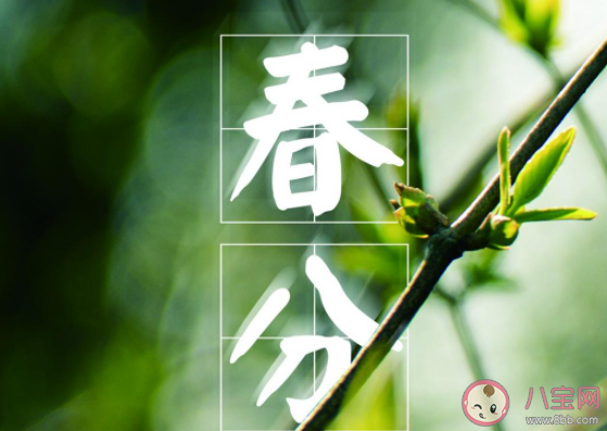 2021春分日早安心语文案 2021春分日早晨发朋友圈配文