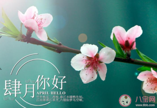 2021四月暖心文案短句 2021四月一句话文案说说