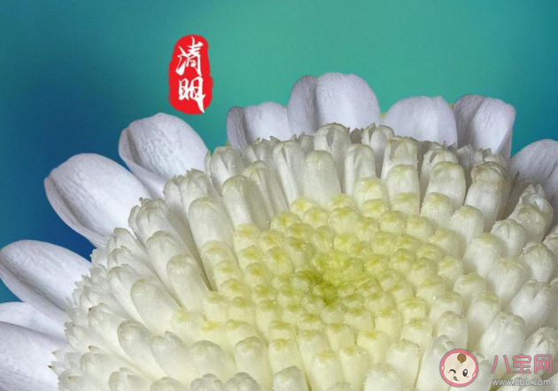 2021清明节高速公路免费吗 清明节有哪些风俗习惯