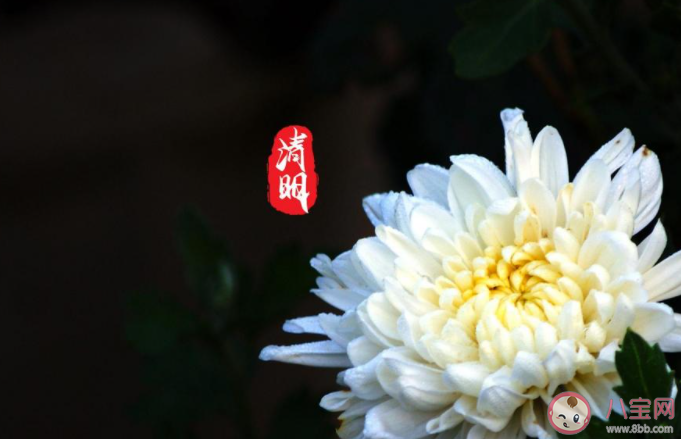 2021清明节高速公路免费吗 清明节有哪些风俗习惯