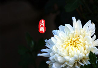 2021清明节高速公路免费吗 清明节有哪些风俗习惯