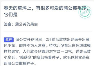 春天草坪上的蒲公英毛球是果实还是花 蚂蚁庄园3月19日答案