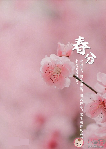 今日春分早安朋友圈文案 今日春分早安正能量唯美句子大全