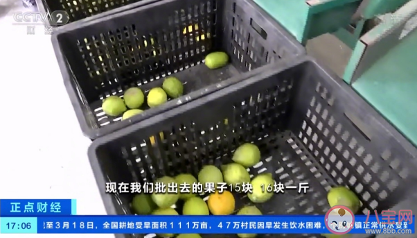 为什么柠檬的价格暴涨 柠檬价格上涨的原因