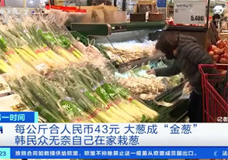 韩国大葱涨至43元一公斤是怎么回事 全球食品价格持续上涨是为什么