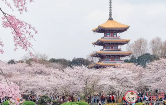2021清明节湖北旅游去哪好 武汉清明节旅游地点推荐