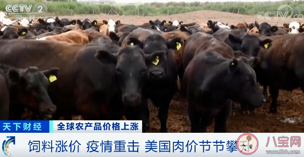 全球食品价格持续上涨是真的吗 哪些食品价格涨幅最大