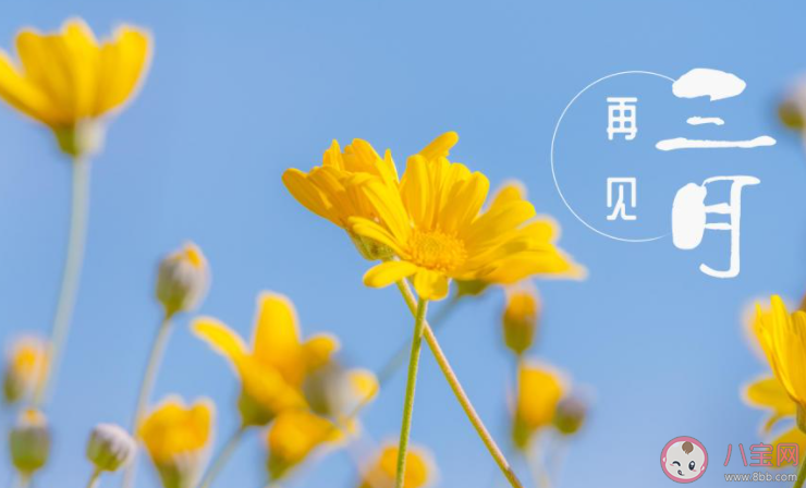 2021三月最后一天朋友圈文案大全 2021三月最后一天感想句子说说