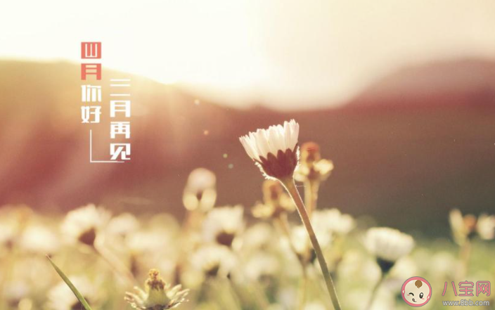 2021三月最后一天朋友圈文案大全 2021三月最后一天感想句子说说