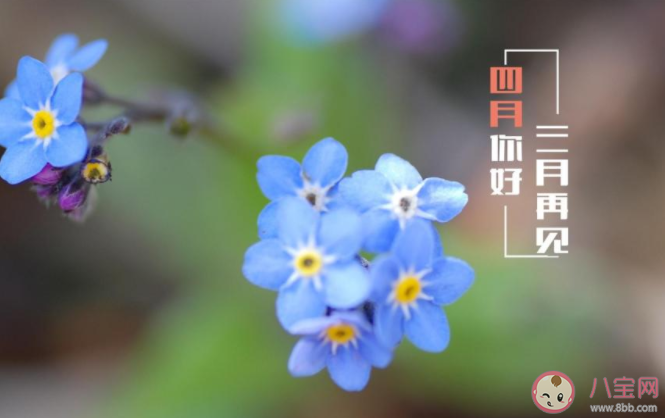 2021四月请对我好一点的感慨句子 2021四月请善待我发朋友圈说说