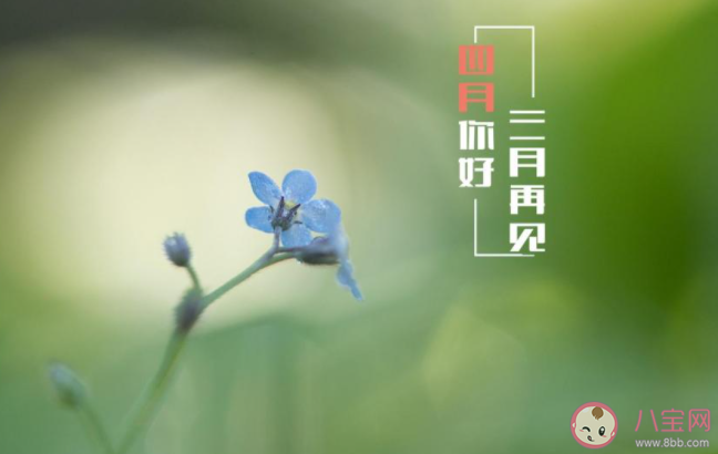 2021四月请对我好一点的感慨句子 2021四月请善待我发朋友圈说说