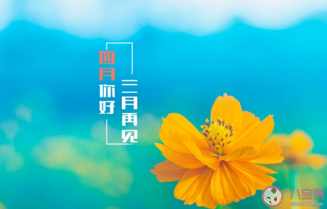 2021四月请对我好一点的感慨句子 2021四月请善待我发朋友圈说说
