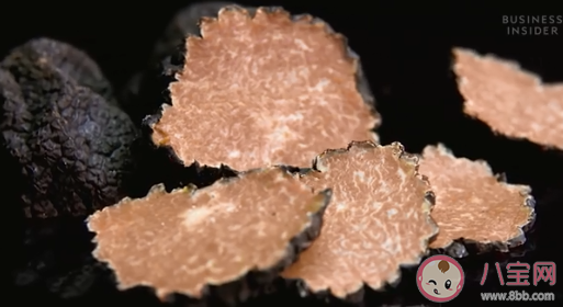 松露为何会如此珍贵 松露有什么营养价值 松露为何会如此珍贵 松露有什么营养价值