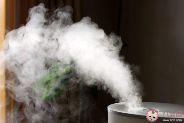 使用加湿器不当会导致肺炎吗 如何避免加湿器肺炎