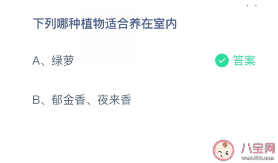 哪种植物适合养在室内蚂蚁庄园 3月25日答案