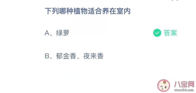 绿萝和郁金香夜来香哪种植物适合养在室内 蚂蚁庄园3月25日问题答案