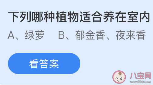 下列哪种植物适合养在室内 最新蚂蚁庄园3月25日答案