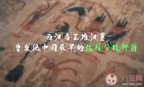 马王堆曾发现中国最早结核菌是怎么回事 感染了结核病会有什么表现