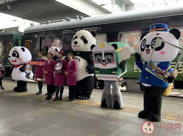 熊猫专列主题列车在哪里购买车票 熊猫专列有哪些亮点服务