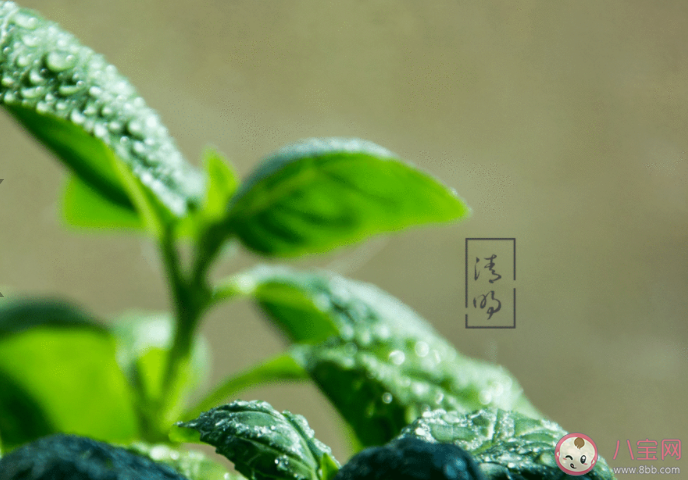 2021清明节图片一句话问候语说说 2021清明节简短问候图片说说