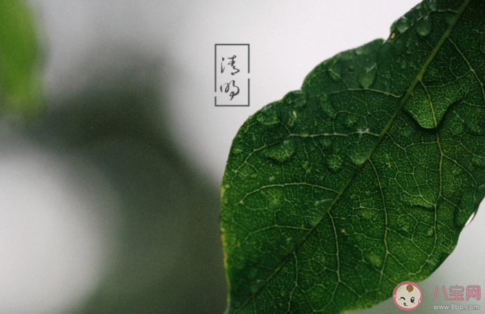 2021清明节图片一句话问候语说说 2021清明节简短问候图片说说