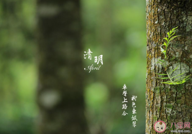 2021清明节图片一句话问候语说说 2021清明节简短问候图片说说